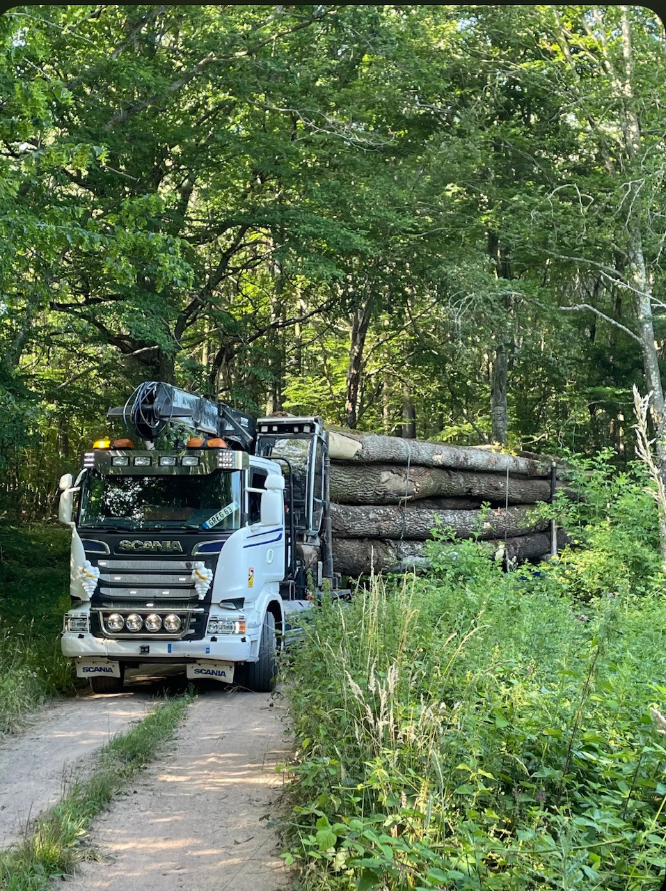 CAMION GREG 1
